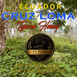 Ecuador Cruz Loma Typica Honey | Cafea de specialitate 100% Arabica