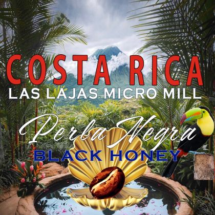 Costa Rica Perla Negra – Black Honey, Cafea Rară Premium