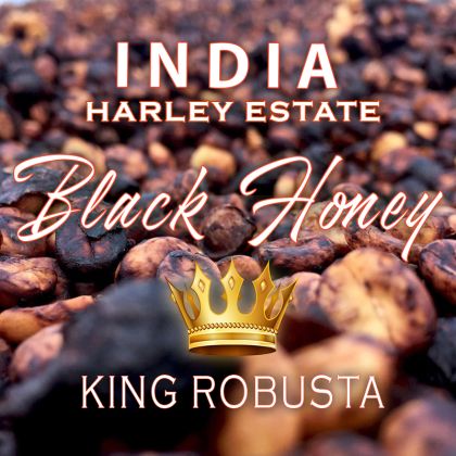 India BLACK HONEY - KING ROBUSTA - HARLEY ESTATE - cafea de specialitate KINGSTONE - boabe sau macinata