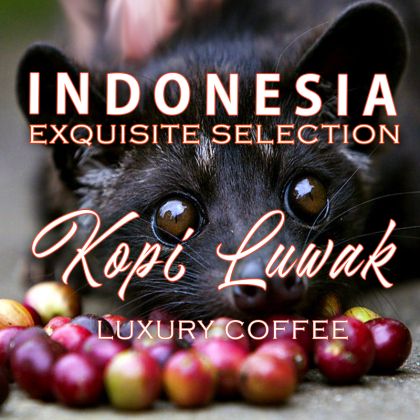 Indonezia KOPI LUWAK - FAIR FARM - cafea de origine, KINGSTONE