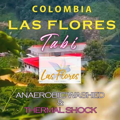 Colombia Las Flores – Tabi Anaerobic Washed, Vergara Brothers
