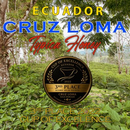 Ecuador Cruz Loma Typica Honey | Cafea de specialitate 100% Arabica