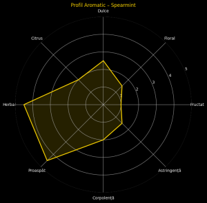 Menta Spearmint – Ceai Aromat, pentru Calm și Benefic pentru Sănătate