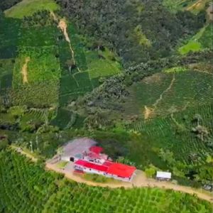 Colombia Las Flores – Tabi Anaerobic Washed, Vergara Brothers