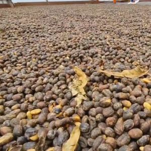 Colombia Las Flores – Tabi Anaerobic Washed, Vergara Brothers