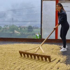 Colombia Las Flores – Tabi Anaerobic Washed, Vergara Brothers