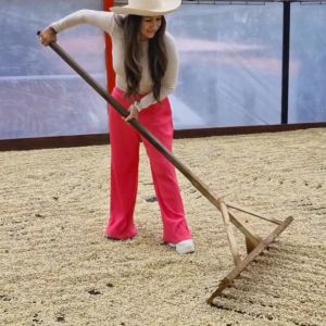 Colombia Las Flores – Tabi Anaerobic Washed, Vergara Brothers