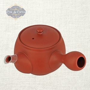 Tokoname Sasame Kyusu – Ceainic Japonez 320 ml cu Sită Ceramică