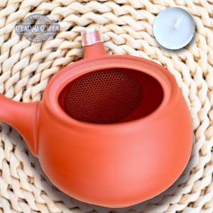 Tokoname Sasame Kyusu – Ceainic Japonez 320 ml cu Sită Ceramică